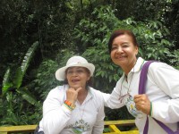 /album/fotogaleria/ros-2-jpg/